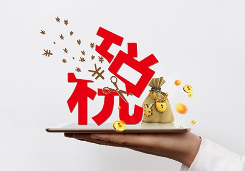 小规模纳税人与一般纳税人的区别