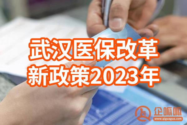 武汉医保改革新政策2023年