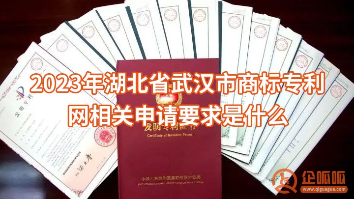 2023年湖北省武汉市商标专利网相关申请要求是什么？需要注意什么问题？