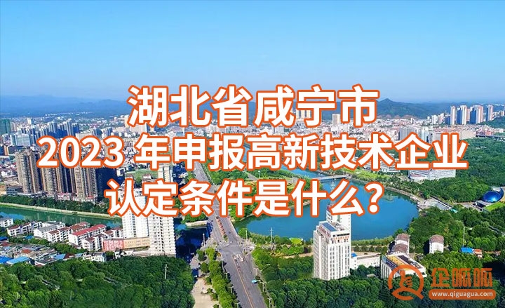 湖北咸宁市2023年认定为高新技术企业需符合什么条件？ (国家高新技术企业认定须满足的八大基本条件)