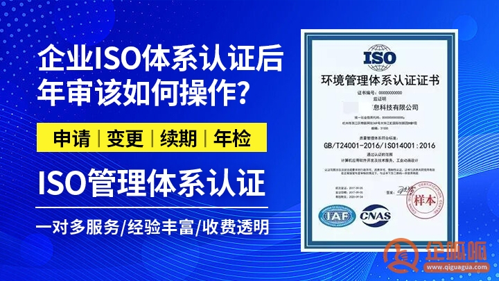企业通过ISO体系认证后年审该如何操作?