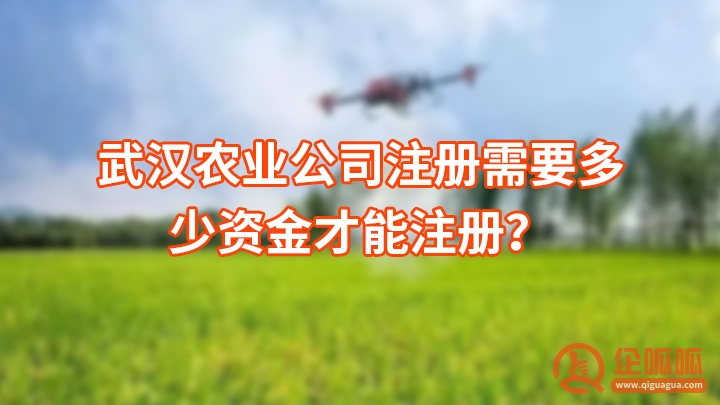 武汉农业公司注册需要多少资金才能注册？